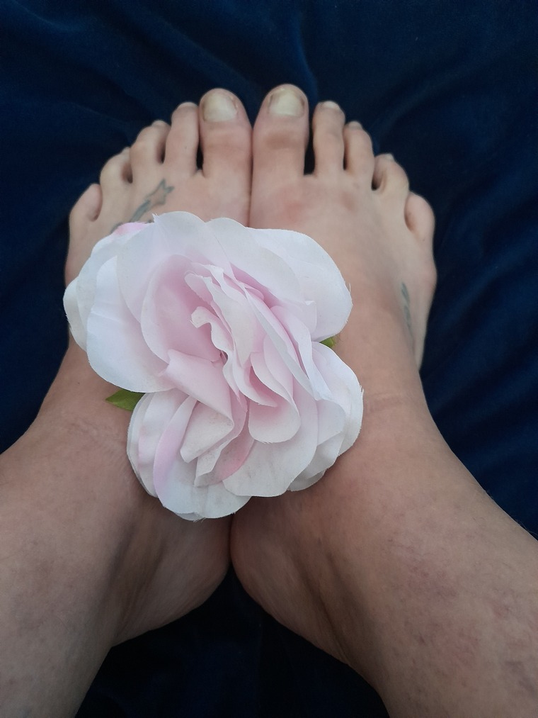 Sammyjo cover image