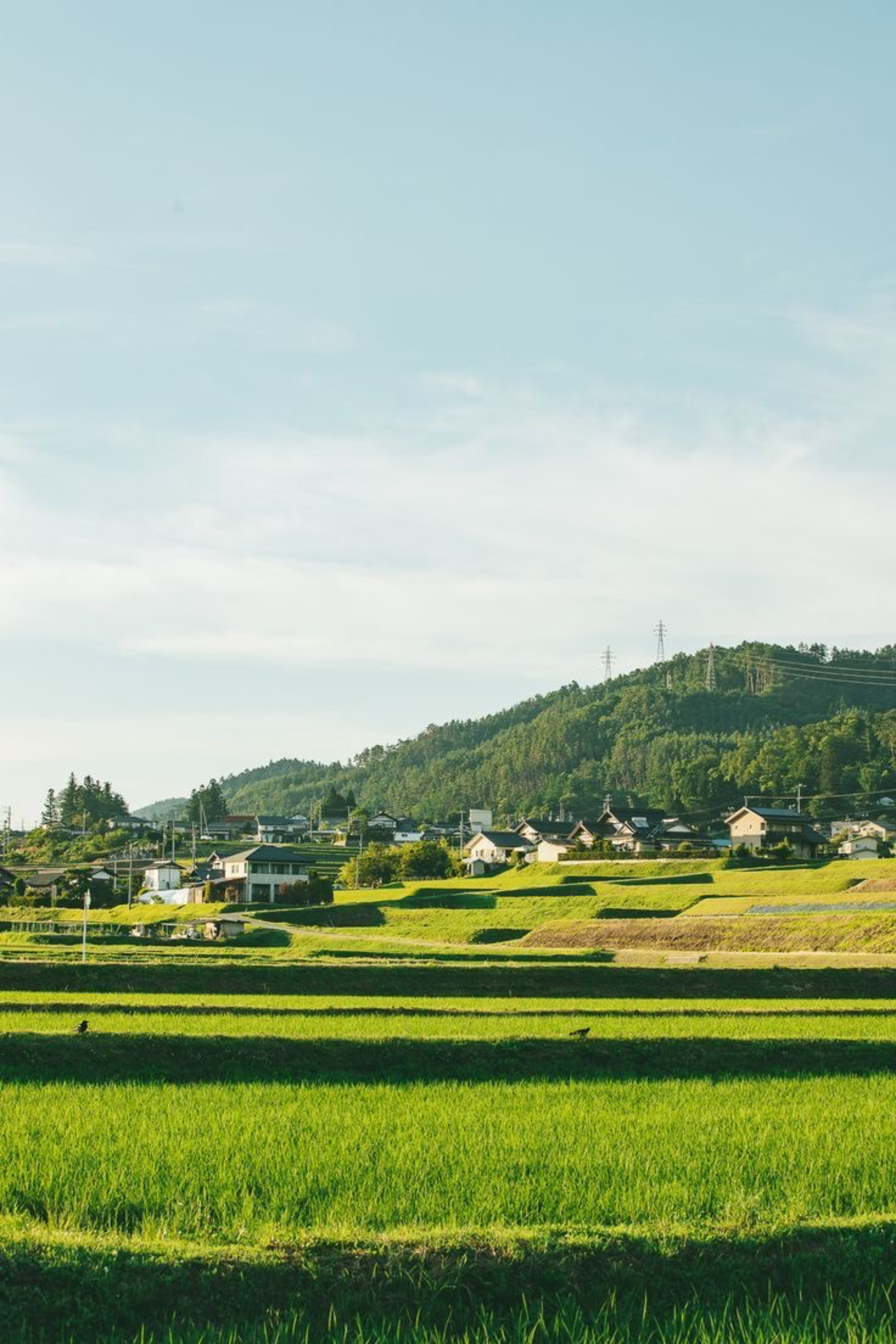 🌾Samuel banner image