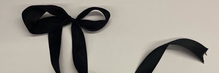 Sanchezz banner image