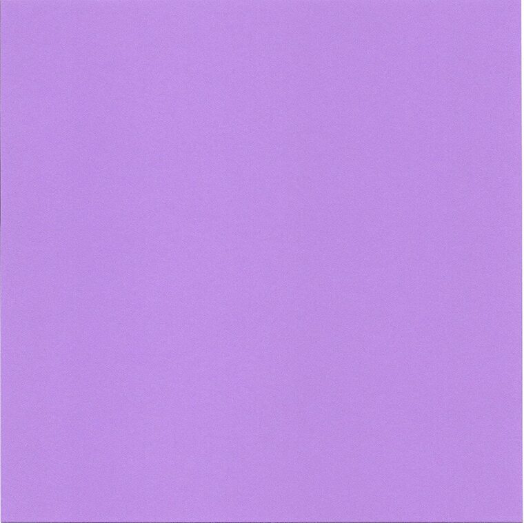 Toe Queen cover image