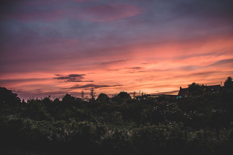 REDNASJE banner image