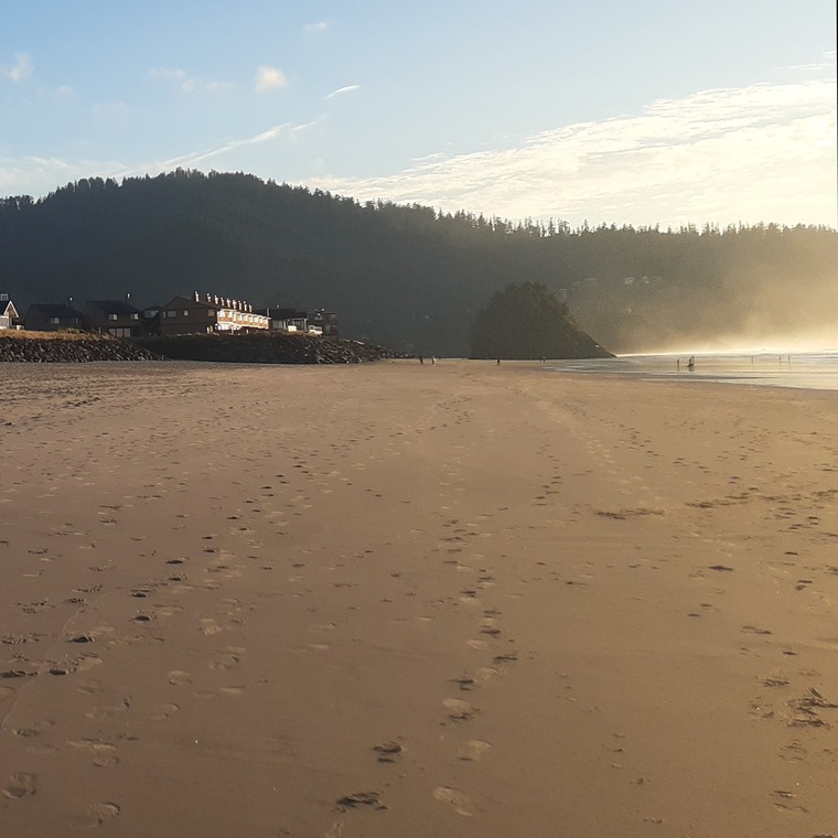 Sandy_soles banner image