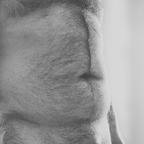Sanguinexxx avatar