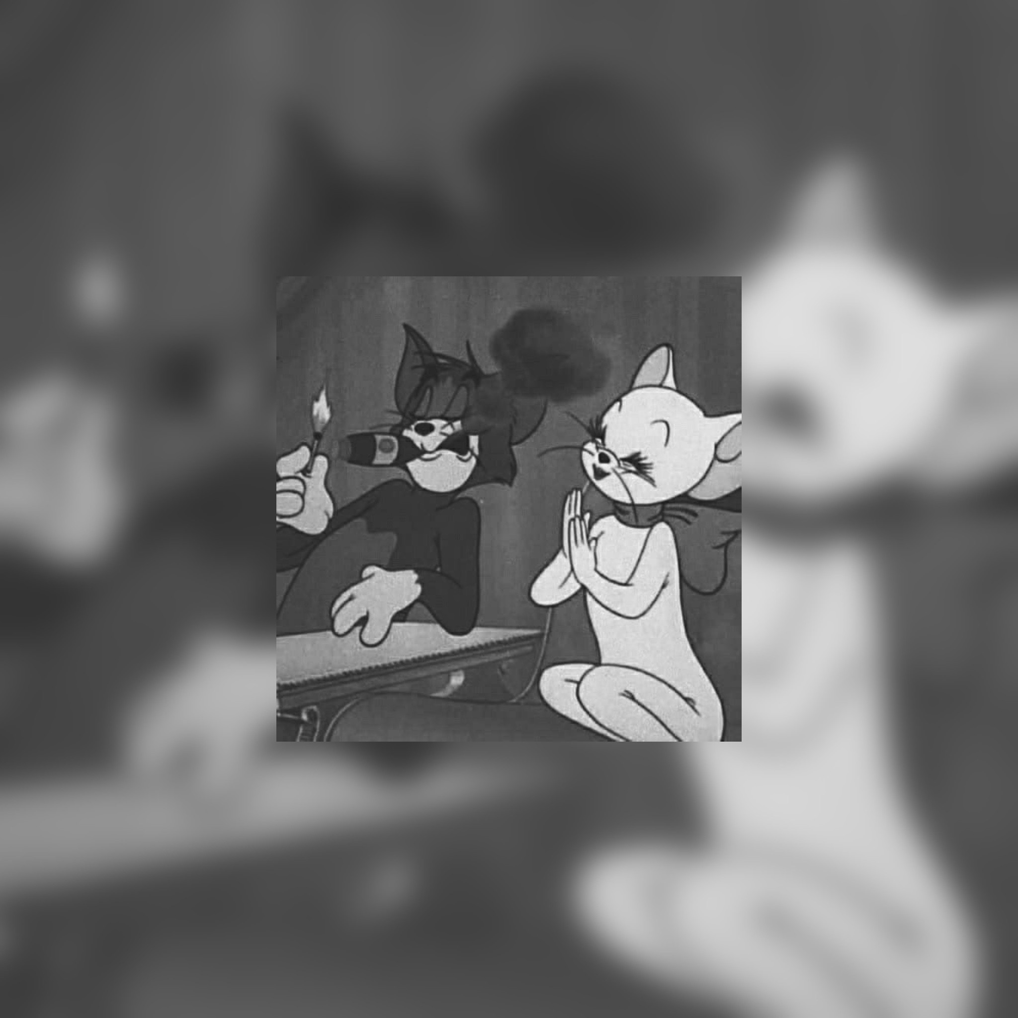 ๐๐ผ๐๐๐:. banner image