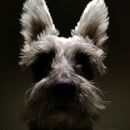 Santos avatar