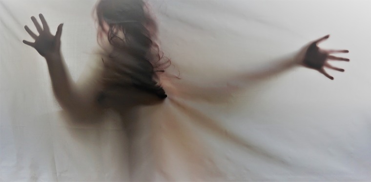 SapiensDomain cover image