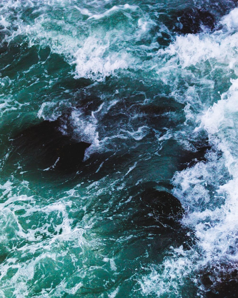 devin banner image
