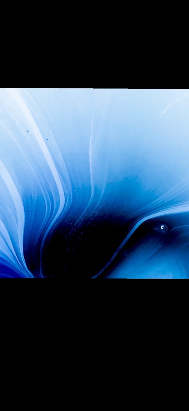 Sara Faye banner image