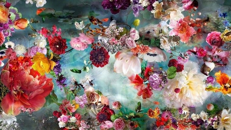 Sara cover image