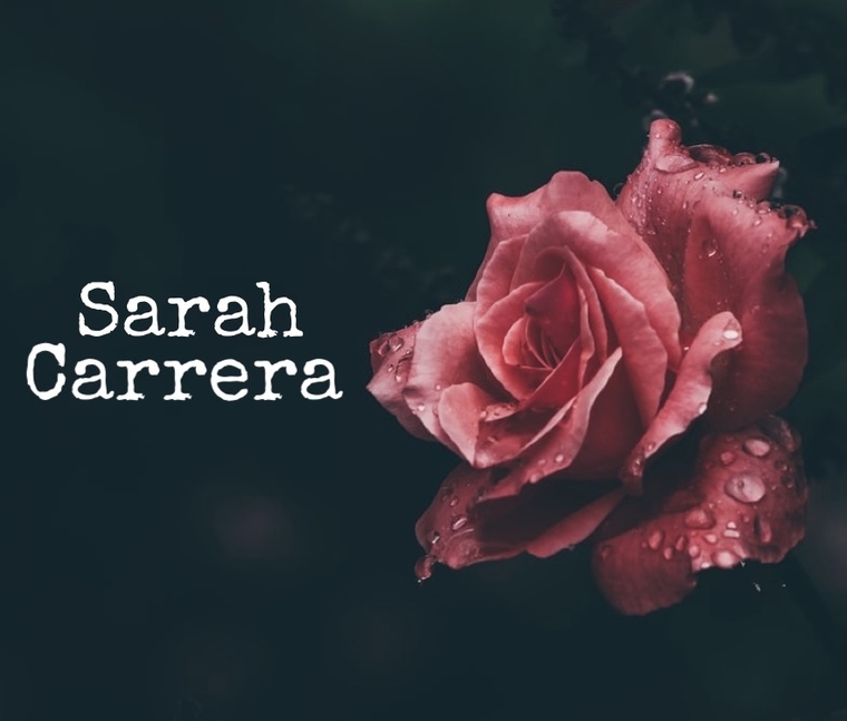 Sarah Carrera banner image