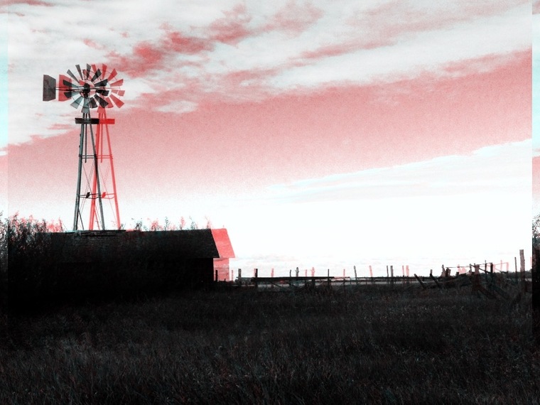 Sarah Thorn cover image
