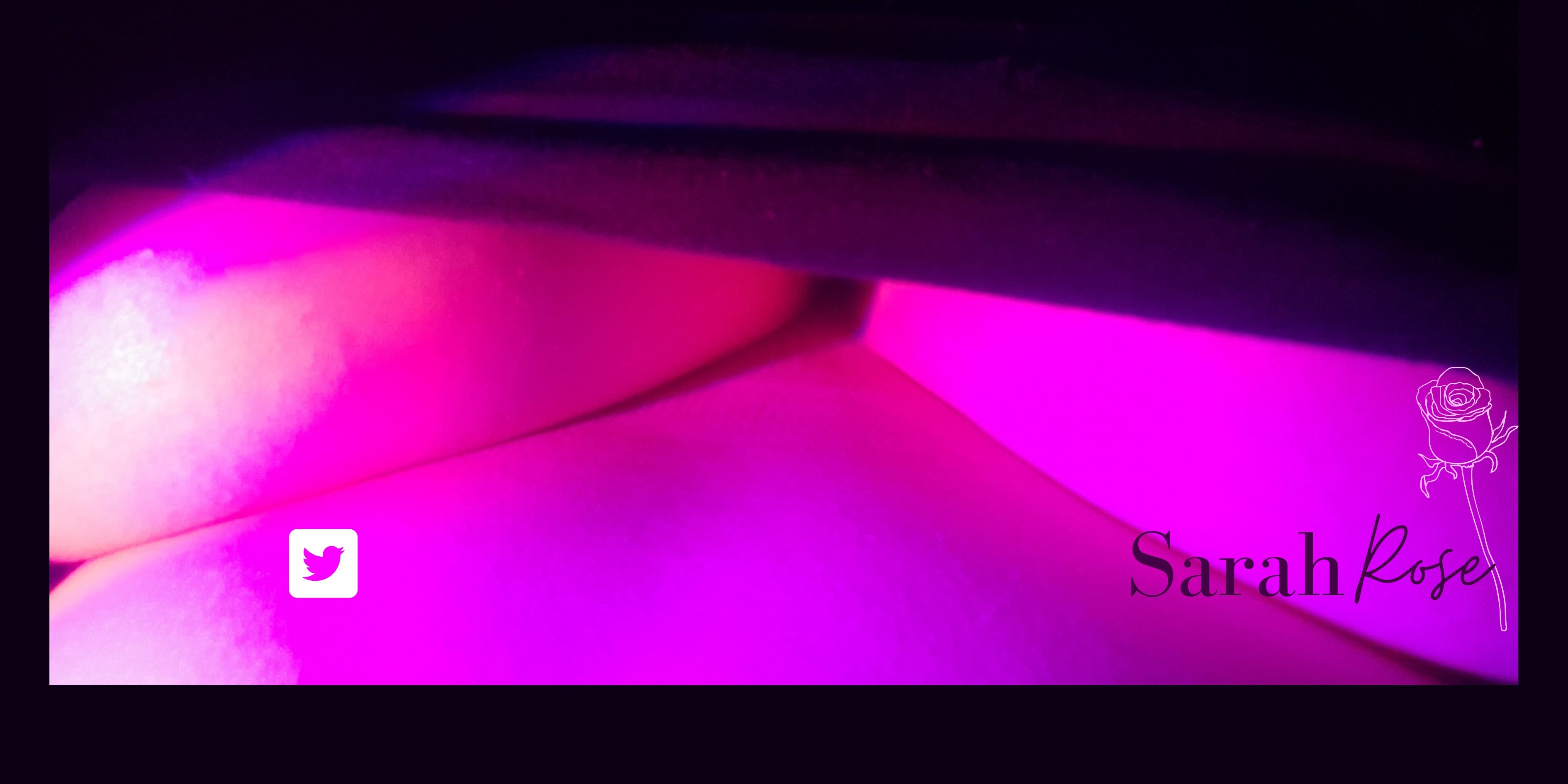 SarahRose banner image