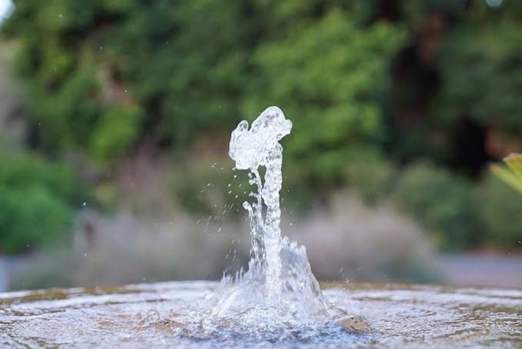 Sarah Sqwert 💦 cover image