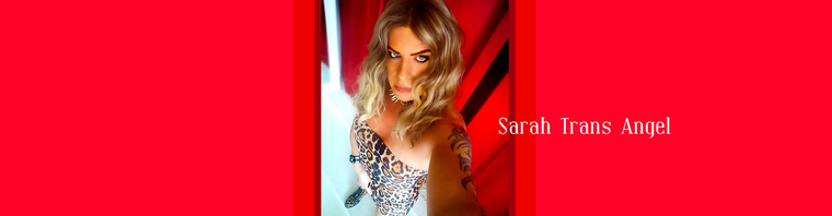 Sarah Trans Angel cover image