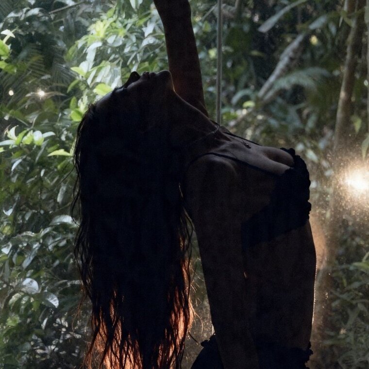 SARAH banner image