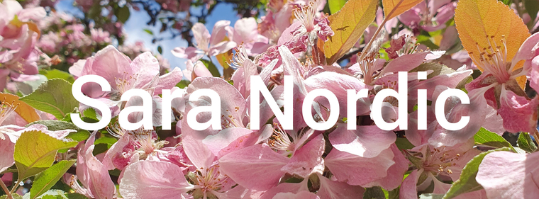 Sara Nordic FREE banner image
