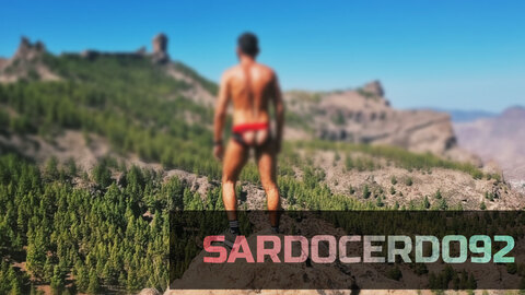 SardoCerdo92 cover image