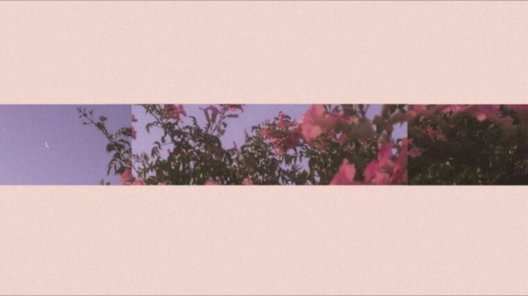 Sasha King ๐ cover image