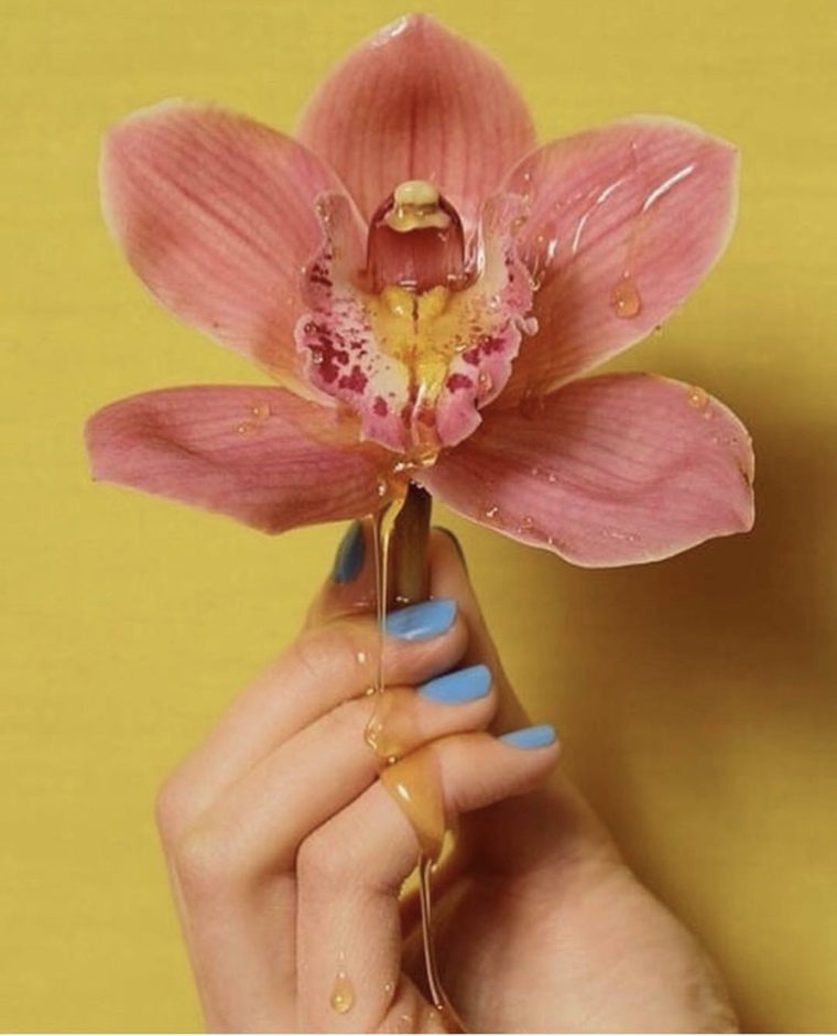 SashaSade cover image