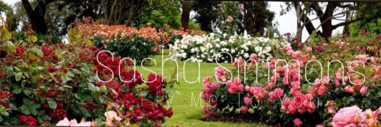 Sasha Simmons banner image