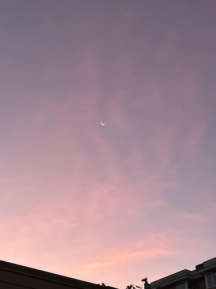 sasha spxrks banner image