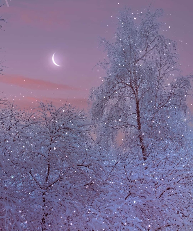 Sasha Winters cover image