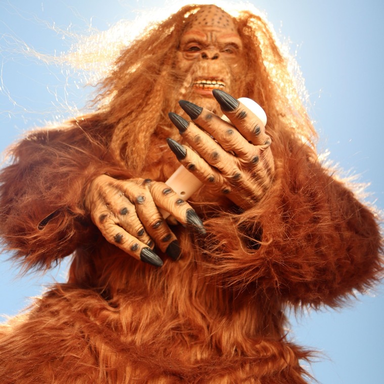 Sasquatch cover image