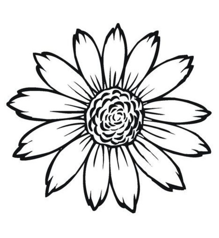 Sassybrat cover image