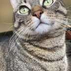 Bella Trix avatar