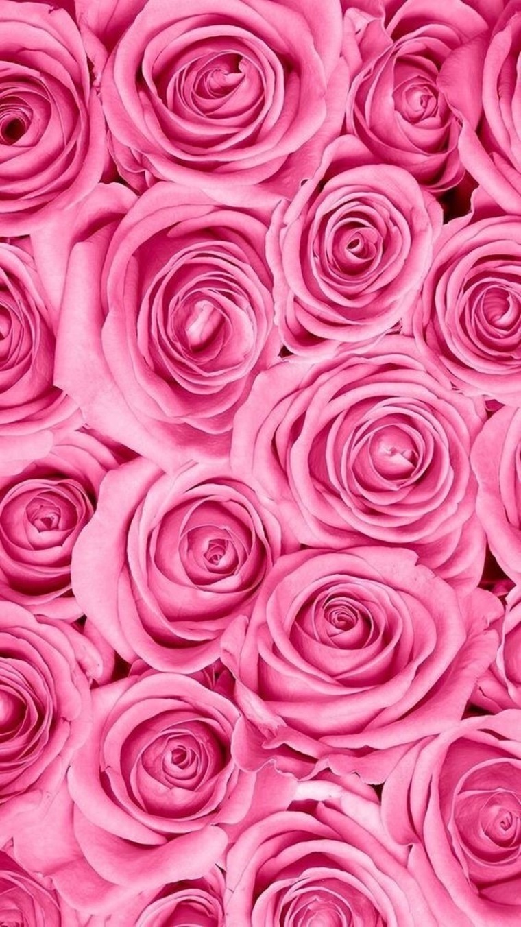 sooz cover image