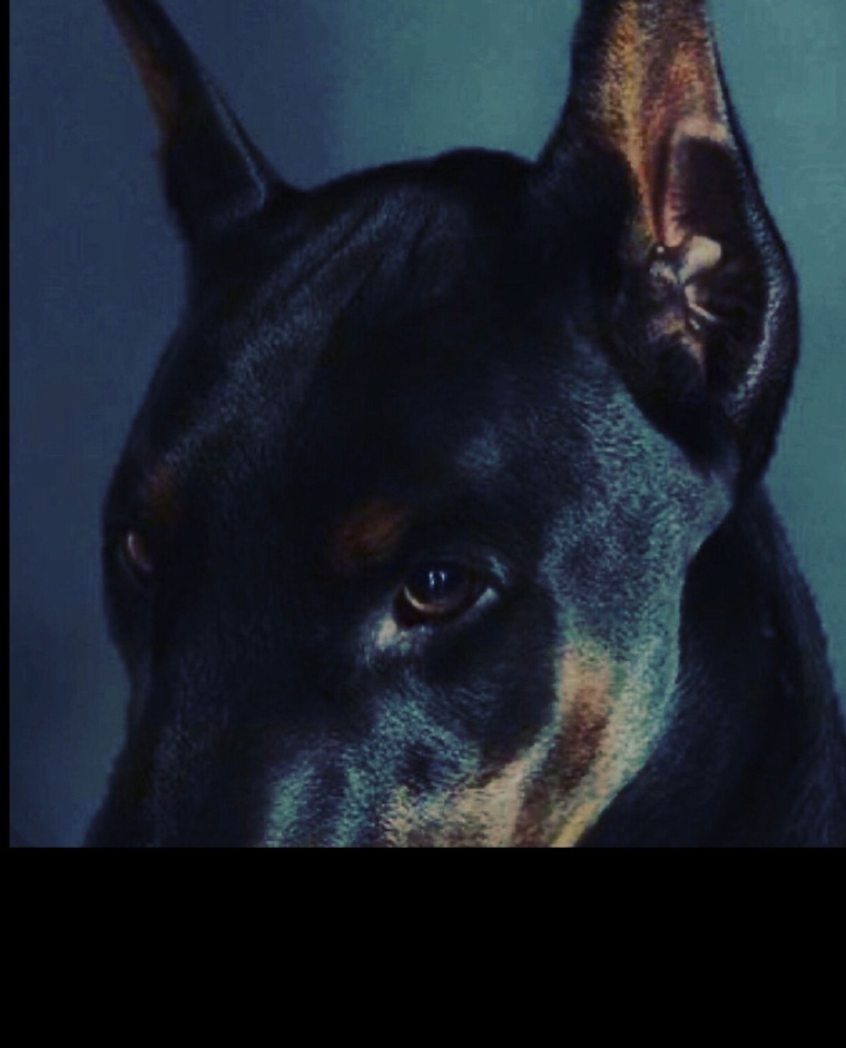 𝓢𝐚𝐭𝐚𝐧𝐢𝐜𝐚 𝓟𝐚𝐧𝐝𝐞𝐦𝐨𝐧𝐢𝐮𝐦 cover image
