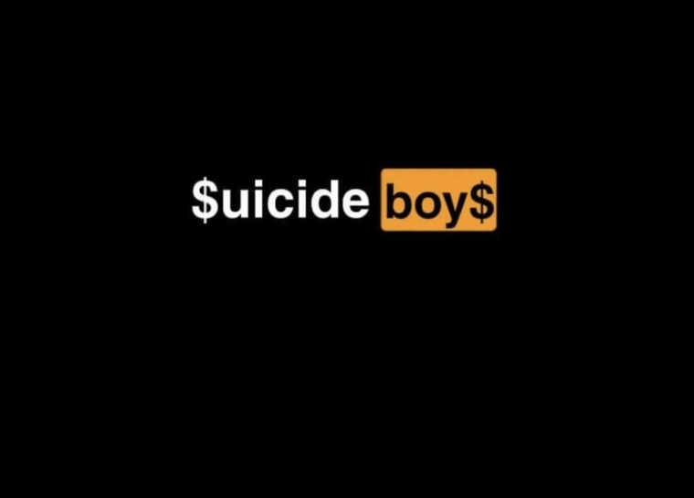 GothBoiNoodles🖤 cover image