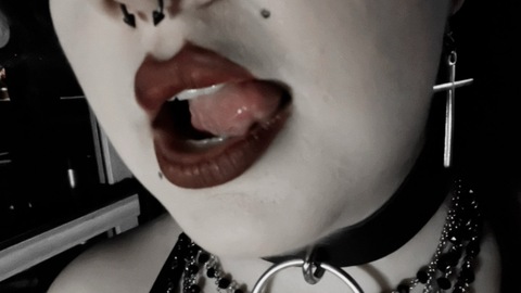 Beckk cover image