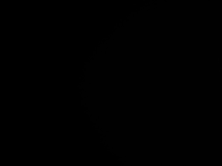Poppet banner image