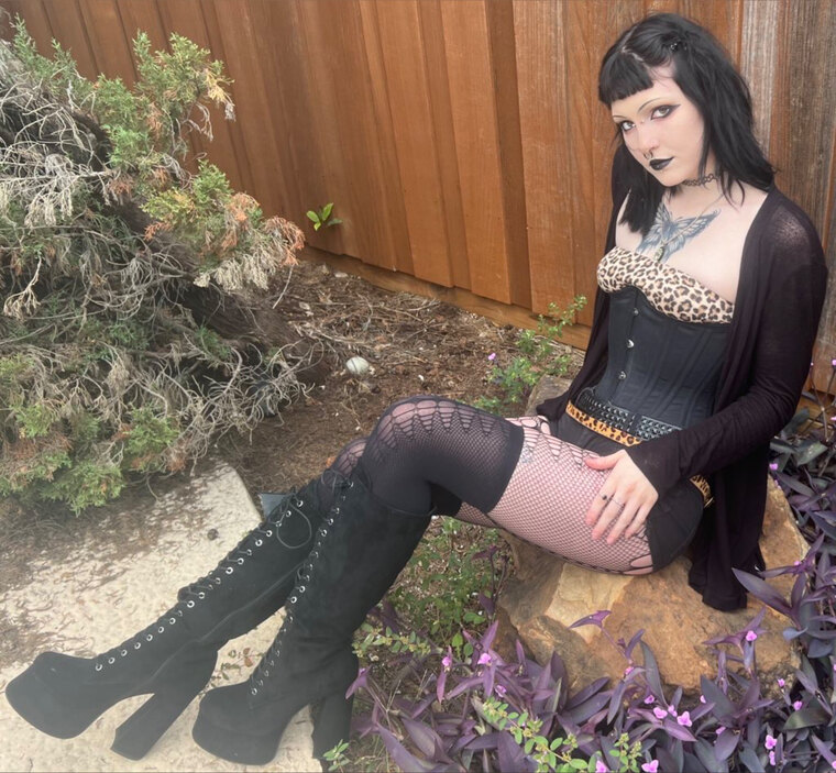 𝖆𝖉𝖊𝖑𝖎𝖓𝖊𓋹 cover image