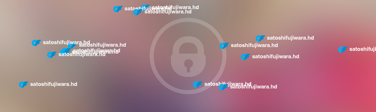 Satoshi Fujiwara cover image