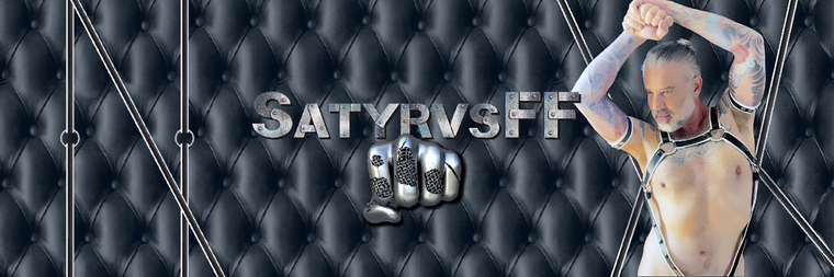 SatyrvsFF cover image
