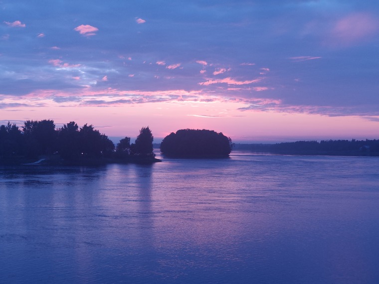 Saunafinn cover image