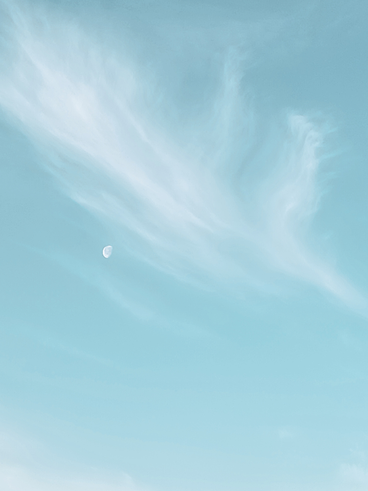 SavaggeCouple banner image