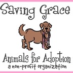 Saving Grace NC avatar