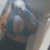 Savy Brunette (; avatar