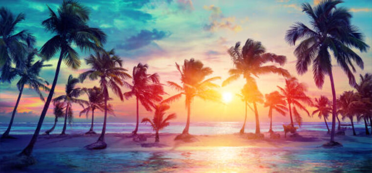 Savyd banner image