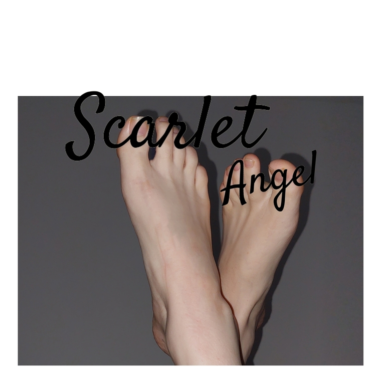 Scarlet Angel banner image