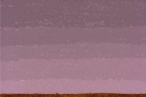 scarlet kelley cover image