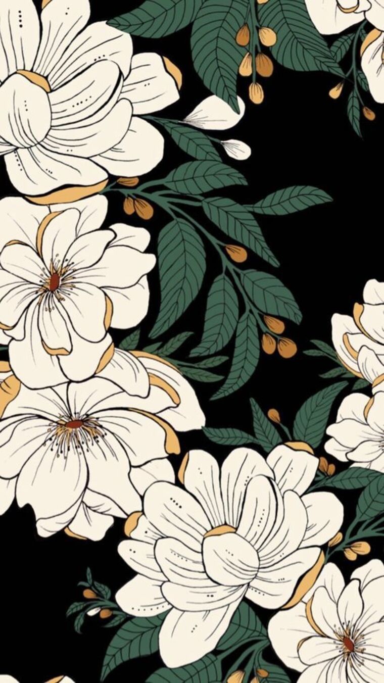 Scarlett Ipomoea cover image