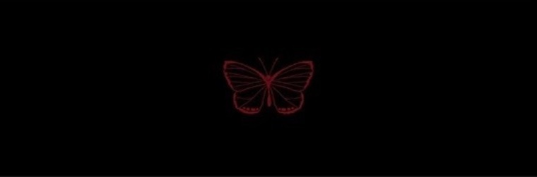 SCARR ๐น๐ค banner image