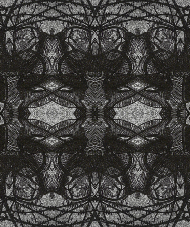 Schlina cover image