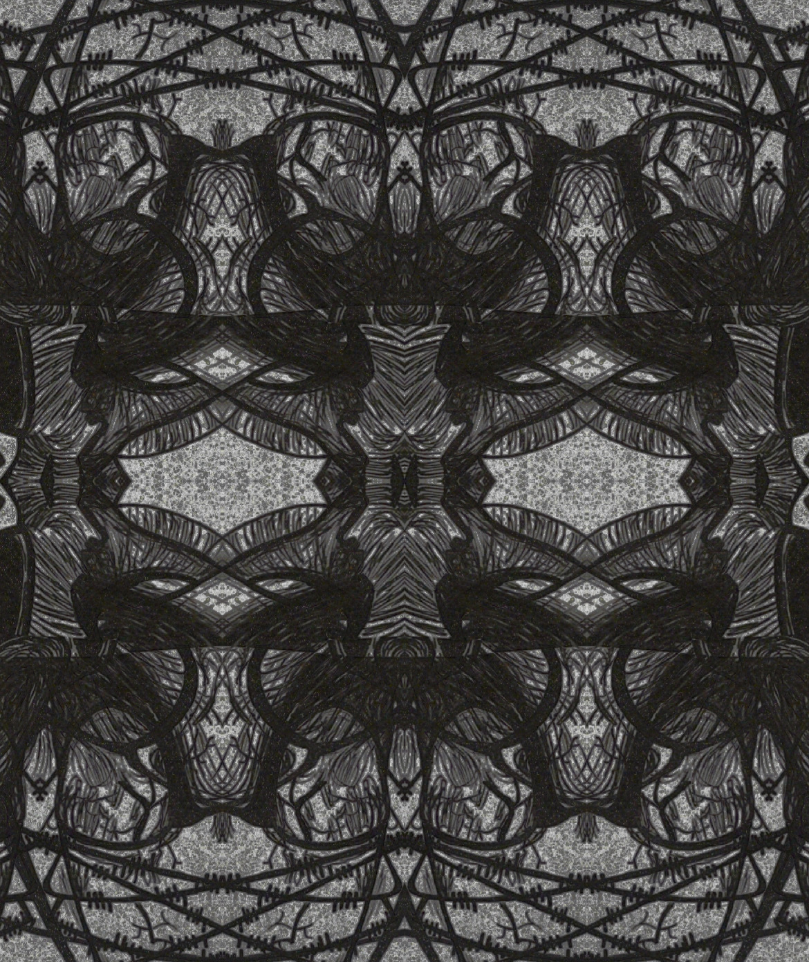 Schlina banner image