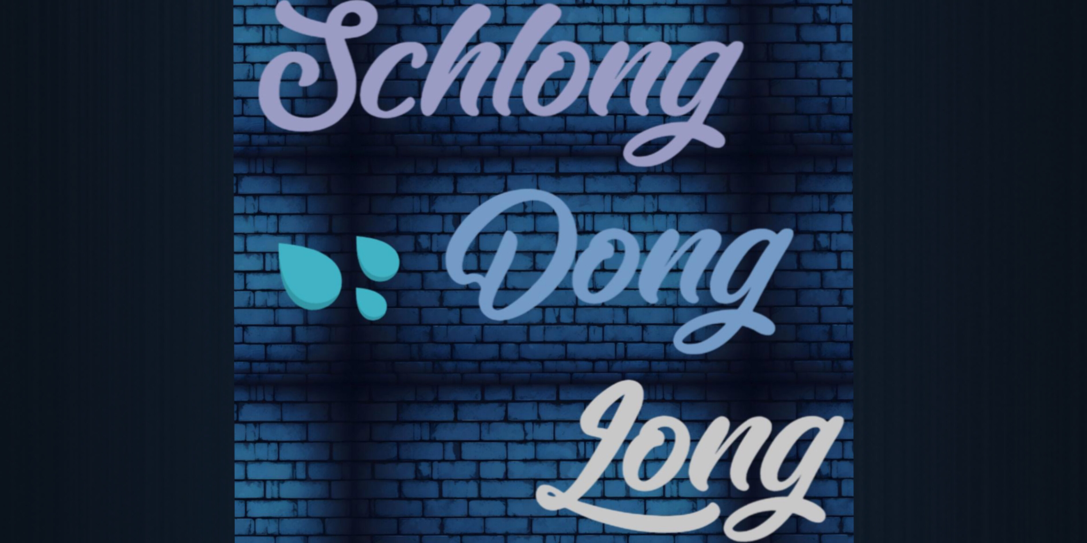 Schlong dong long banner image