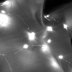 Schneetittchen avatar